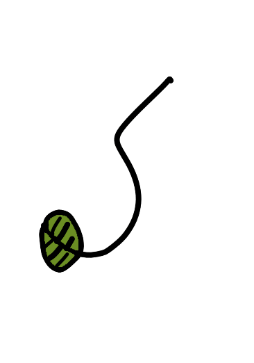 Drawing by @Jamie
