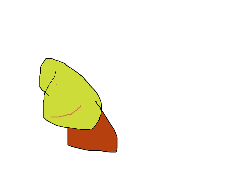 Drawing by @Jamie