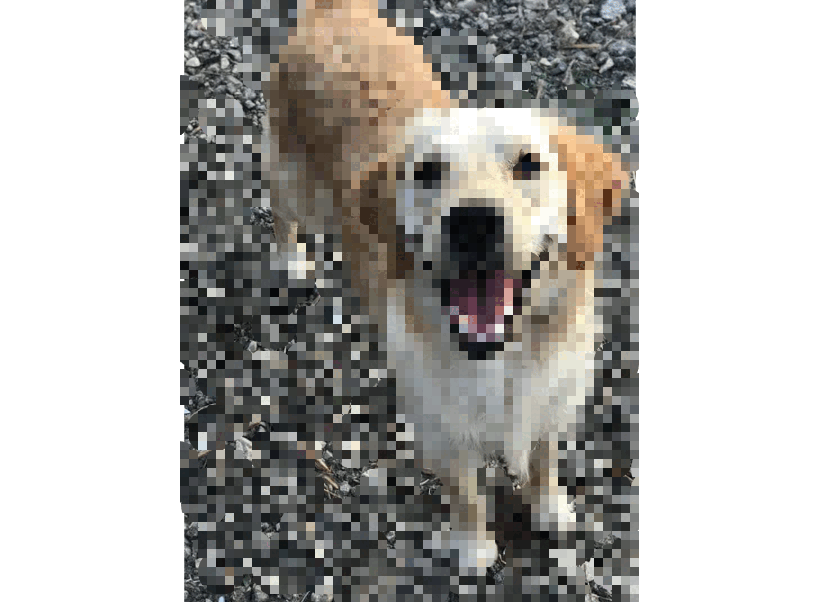 Pixelated