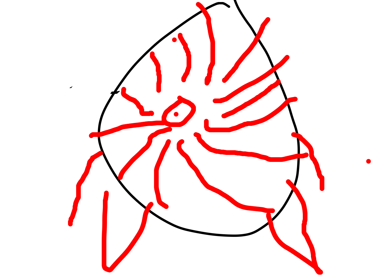 Drawing by @Lincoln