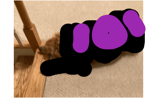 …