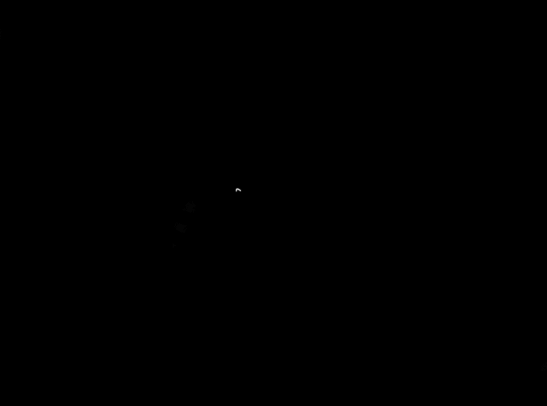 One white